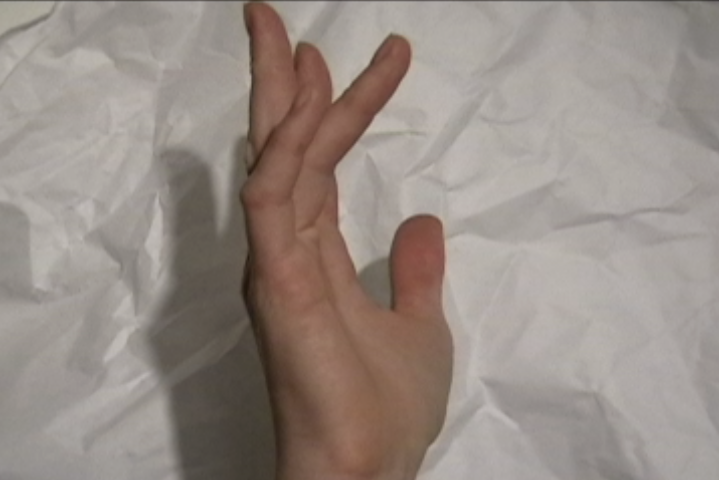 KatieKehoe_MusicalHand_2009